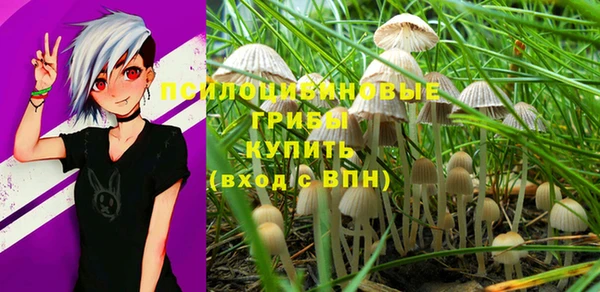 таблы Аркадак