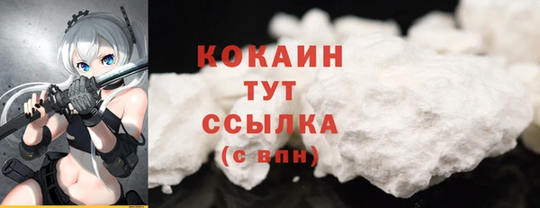 гашик Сафоново