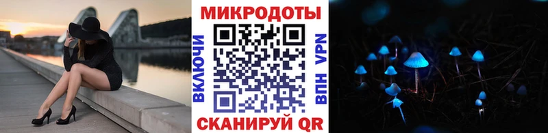 Псилоцибиновые грибы Psilocybine cubensis  Суворов 